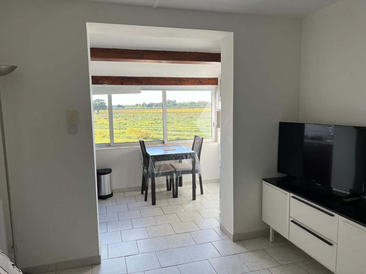 Joli Studio Tres Clair A Proximite Mer Pour 3 Personnes La Londe-les-Maures Bagian luar foto