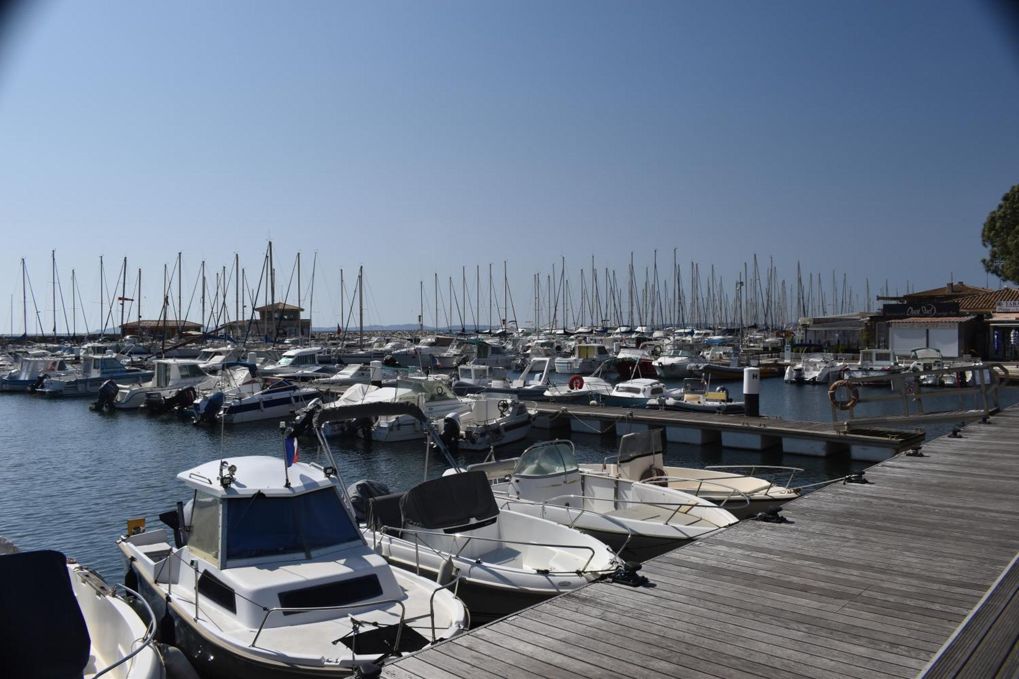 Joli Studio Tres Clair A Proximite Mer Pour 3 Personnes La Londe-les-Maures Bagian luar foto