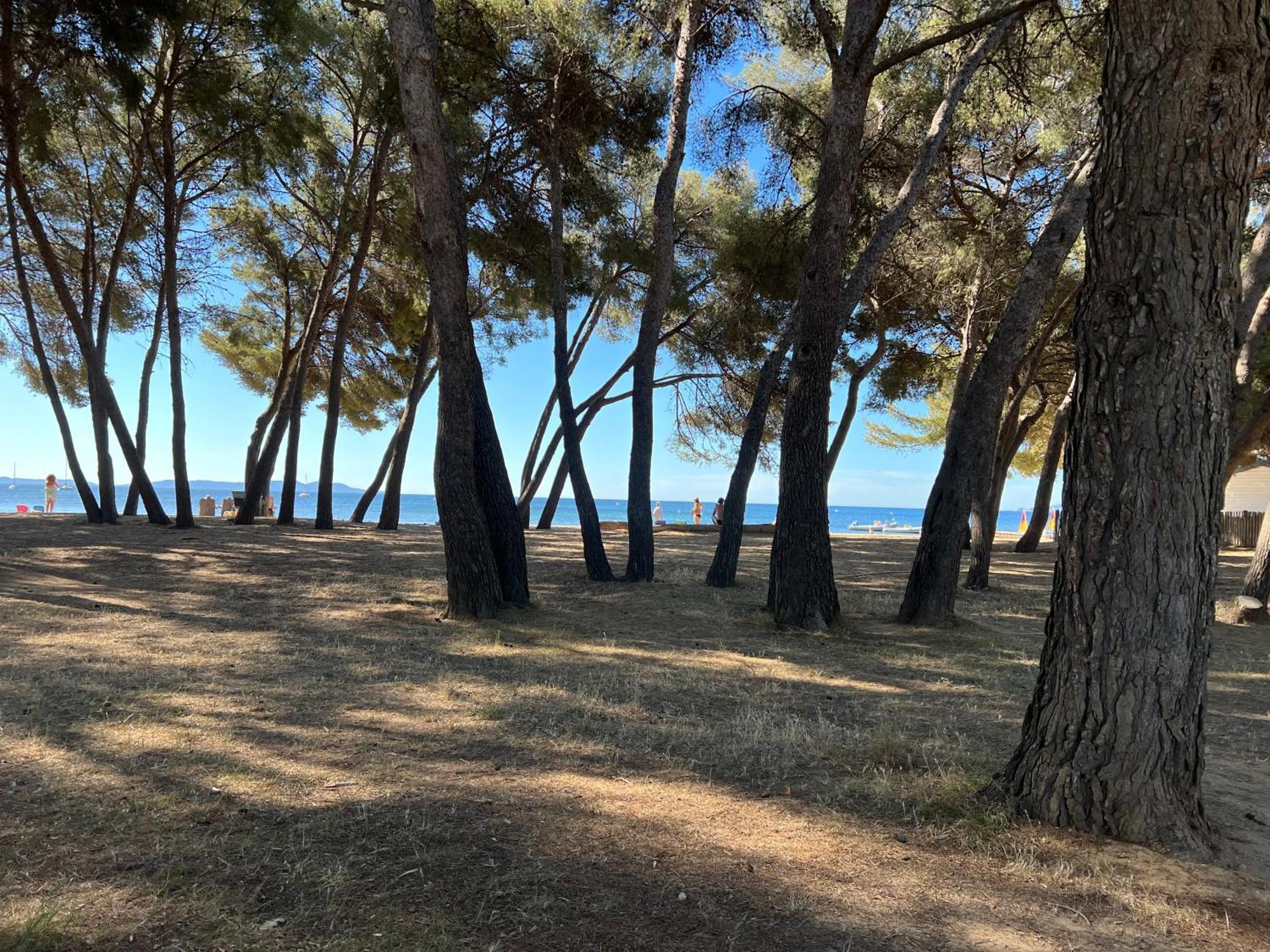 Joli Studio Tres Clair A Proximite Mer Pour 3 Personnes La Londe-les-Maures Bagian luar foto