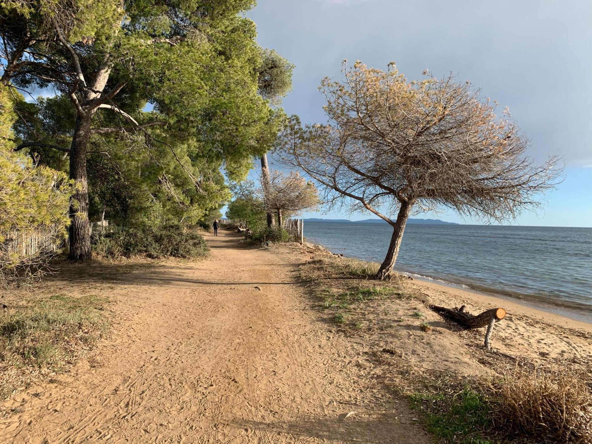 Joli Studio Tres Clair A Proximite Mer Pour 3 Personnes La Londe-les-Maures Bagian luar foto